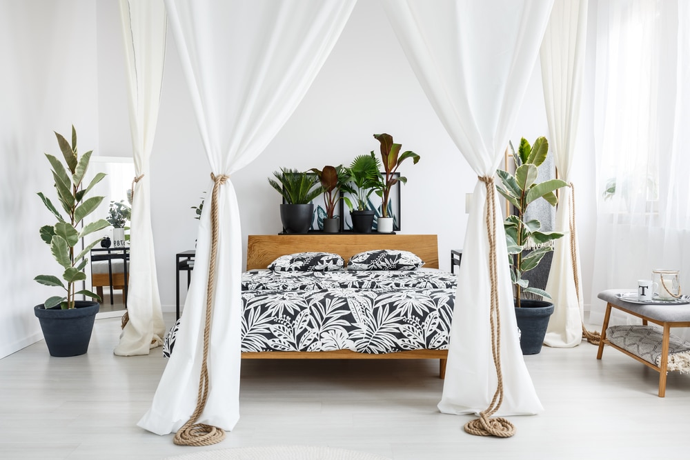 viscose white drapes around bed with tropical print sheets