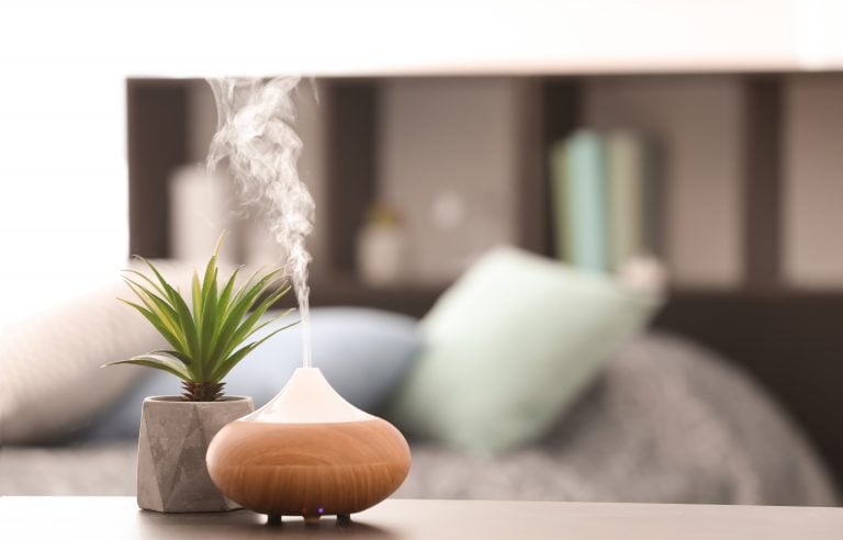 essential oil diffuser on a table in front of a plant